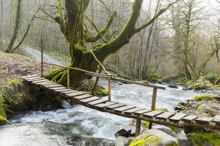 小木桥过山河照片