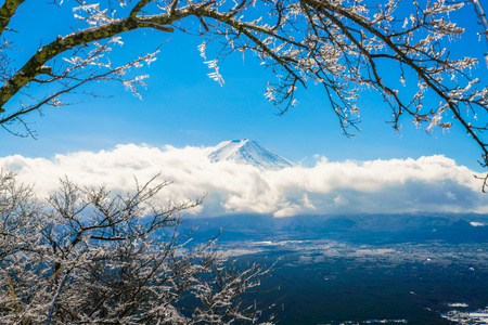 与冰涂料在树上的山富士