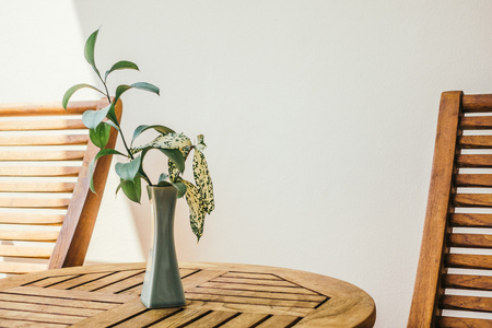桌上的花瓶植物