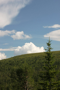 除了 Kungsleden Heathlands