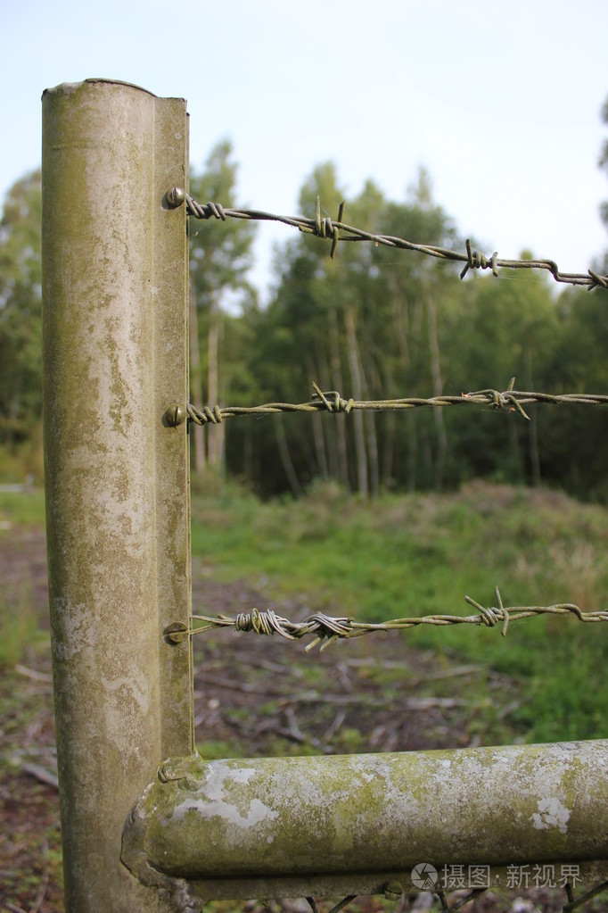 带刺铁丝网的旧围栏照片-正版商用图片1n93f1-摄图新视界