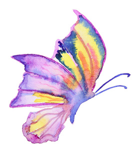 抽象水彩画手绘制的蝴蝶