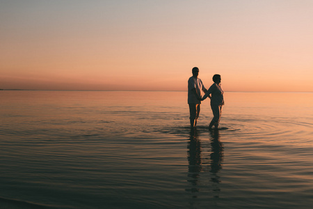 成人的夫妇站在反对日落海的剪影