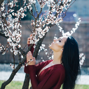 盛开的杏树的女人