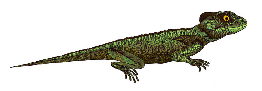 手绘camptosaurus 配置文件霸王龙将向量设置t-雷克斯和运动,生气,汝