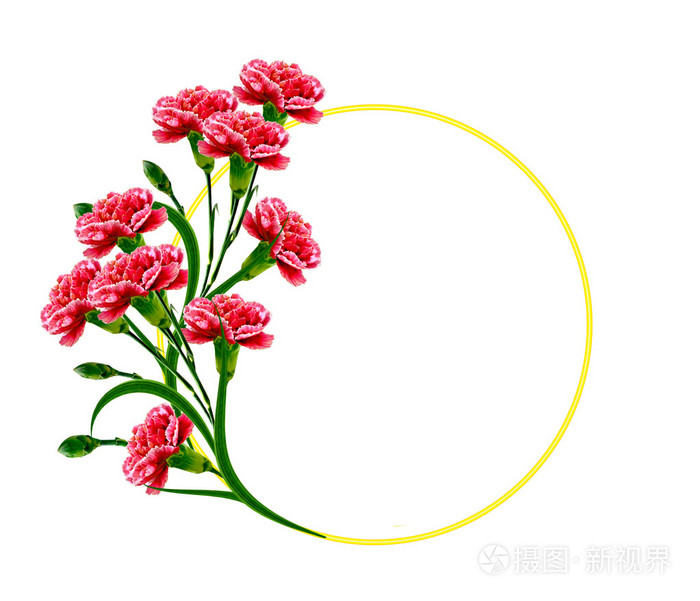 香石竹花的花束
