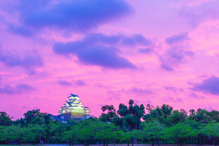 姬路市乔城堡紫色夕阳的广阔天空树远照片