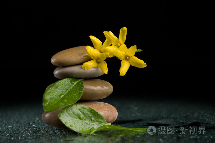 黑色与黄色花的平衡禅石头