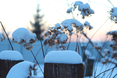 农村冬雪