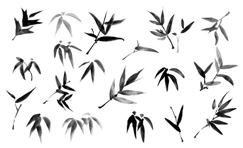 画竹叶视频竹叶和分支水墨画照片