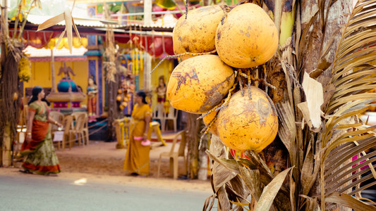 在街道的印度喀拉拉邦的椰子