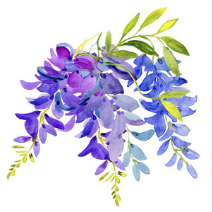 盛开的紫藤花图片