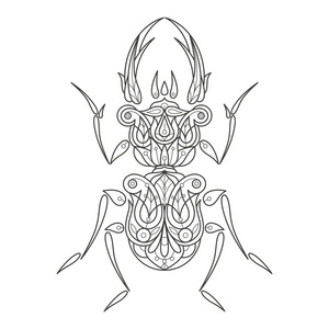 成人甲虫图片-成人甲虫素材-成人甲虫插画-摄图新视界