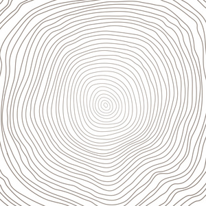 年轮图片-年轮素材-年轮插画-摄图新视界