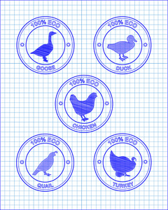漂亮的图标鸡土耳其鸭鹅鹌鹑