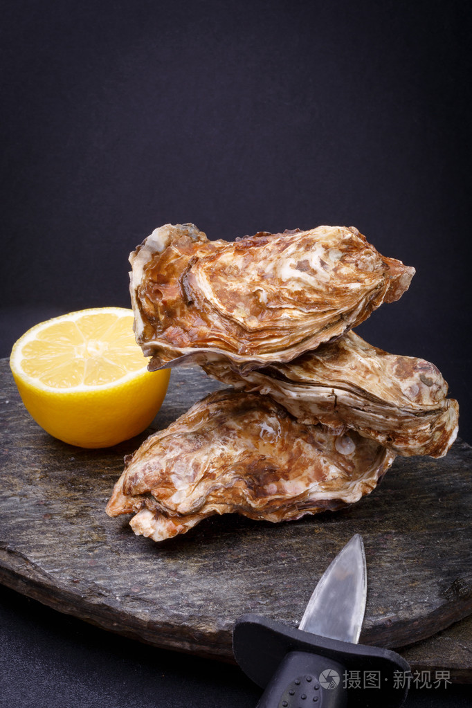 牡蛎在石头上的第一个大小.新鲜的原料美食海鲜