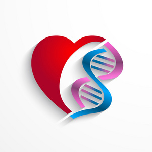 Dna 的概念。用于医学 遗传学 生物学概念的双螺旋结构符号的心