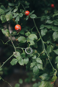 绿色叶子上的结婚戒指