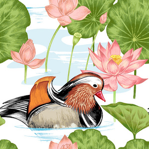 鸳鸯兰草花图片