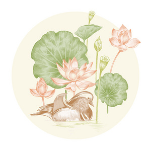 鸳鸯图图片-鸳鸯图素材-鸳鸯图插画-摄图新视界