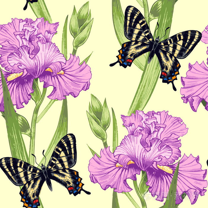 花卉和蝴蝶的无缝矢量图案.插画-正版商用图片1naemj-摄图新视界