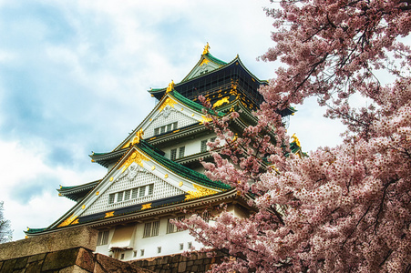 大阪城堡在樱花盛开的季节