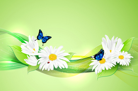 自然浪漫的背景，与花和蝴蝶
