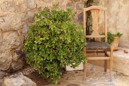 古老的椅子和肉质的锅, 地中海风格