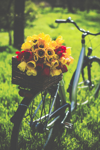自行车用鲜花