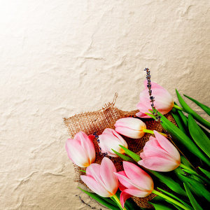 鲜花。广告在白色背景上的郁金香花束