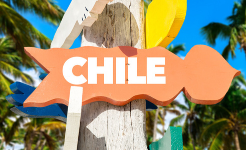 智利路标与棕榈树