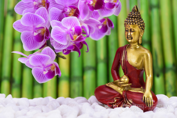 佛陀坐在禅宗花园