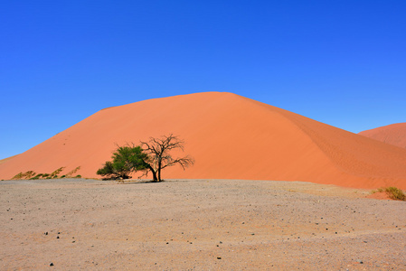苏斯纳米比亚非洲