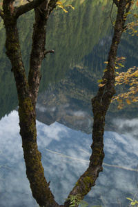 美丽的风景，九寨沟，四川省，中国