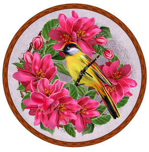 新会小鸟天堂在红色背景盛开苹果的天堂中的一个圆上的黄色小鸟.