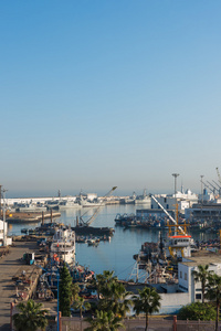 卡萨布兰卡港口在清晨的时光图片