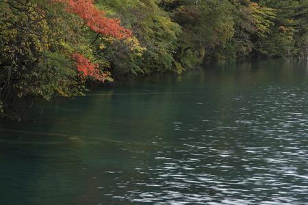 美丽的风景，九寨沟，四川省，中国