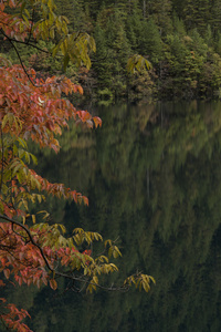 美丽的风景，九寨沟，四川省，中国