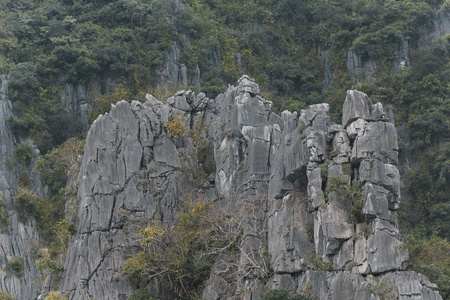 美丽的风景越南山