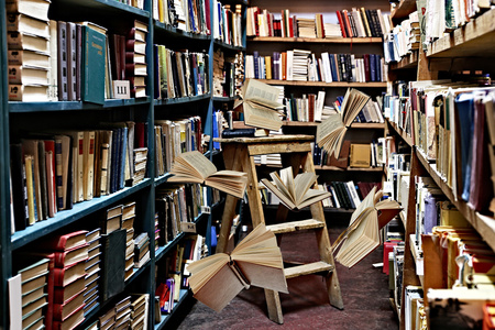 飞在图书馆书架上的书
