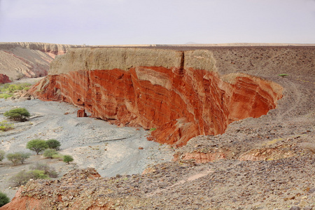 干燥河床上的红色悬崖。 埃塞俄比亚的达纳基尔。 0367