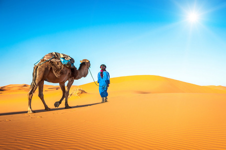 骆驼商队经历沙丘图片