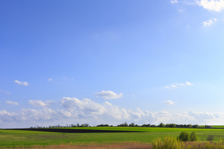 郁郁葱葱的绿色田野的背景图像图片