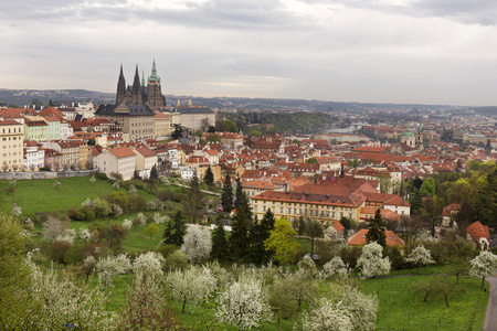 与哥特式城堡和绿色自然开花树木，捷克共和国布拉格春城