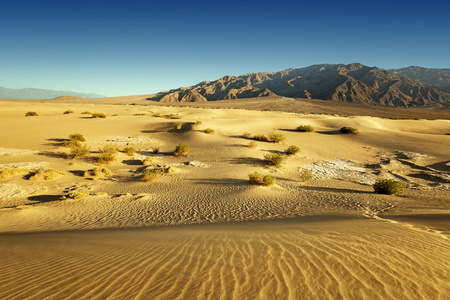 沙沙漠和岩石的山，在背景
