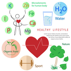 健康的生活方式的信息图表  活动 营养 休息