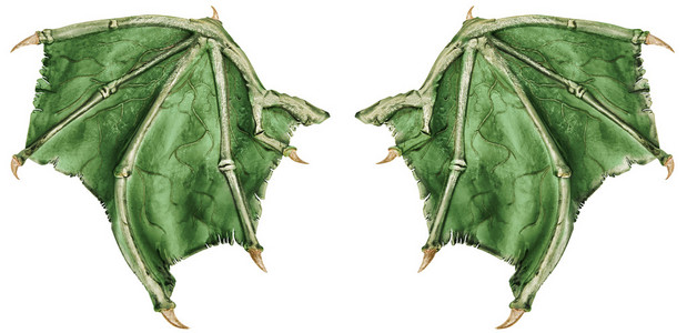 渲染的吓人的大飞龙与大翅膀黑色奇幻龙,有翅膀和尖刺彼得龙