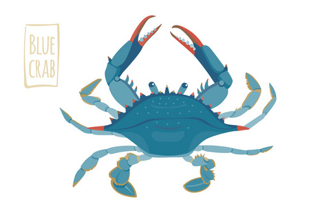 蓝蟹，矢量卡通插画