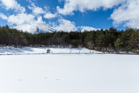 美丽的冬天风景与雪图片