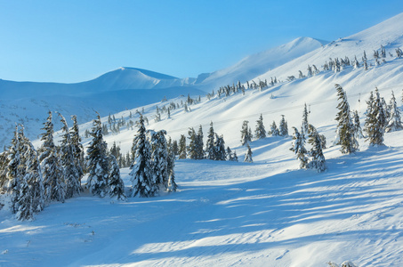 冬天山上冰冷雪杉树